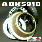 abk5918a-c05tn