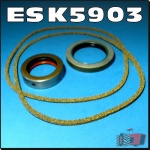 ESK5903 Epicyclic Seal Kit Massey Ferguson MF 165 (s/no. 500001-597745) 175 178 Tractor all dry brakes (round axle housing) at Rear Axle Outer 